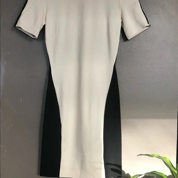 ⭐️HP⭐️ Aritzia  Bodycon dress- small - Picture 3 of 12